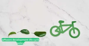 software development life cycle policy